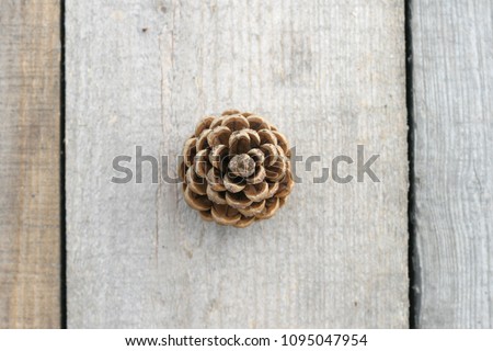 Pine cone on the background of gray untreated boards