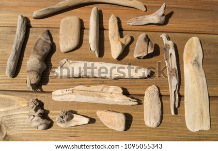 Seashells, rocks and sticks on wooden background. Sea treasures. Favorite hobby. Summer finds.