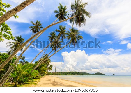 Coconut  on the tropical beach in  Koh Mak island, Trat province,Thailand Royalty-Free Stock Photo #1095067955