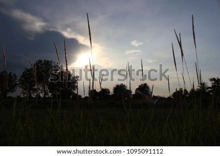 The beauty of the sun reflects the grass in the fields and the gray clouds