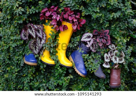 Family boots in tree wall Planting flowers creatively in old plastic boots that have been reused.