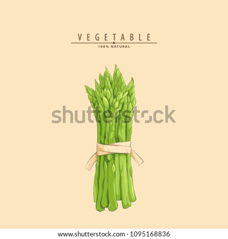 Hand drawn fresh tasty asparagus Royalty-Free Stock Photo #1095168836