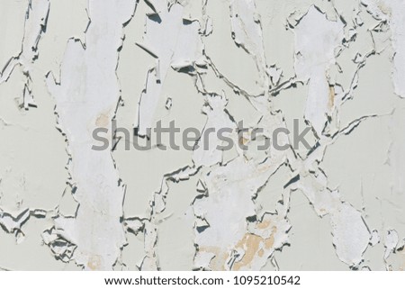 Old white green paint exfoliates with cracked layers on the wall of concrete
