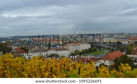 Panorama In Prague. Czech Republic. Vineyard on the hill