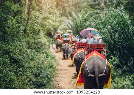 Elephant trekking through jungle in Krabi Thailand Tavel Concept