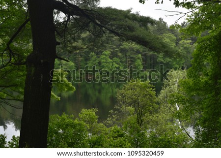 beautiful photo of the Kettle hole pond in New England 