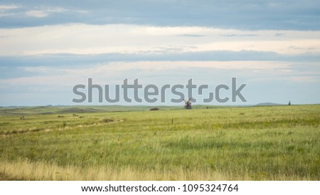 Summer landscape with field of grass,blue sky and windmill in the distance. Green Grass Field Landscape with fantastic clouds in the background. Great summer landscape