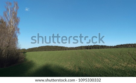 Sunny spring green meadow