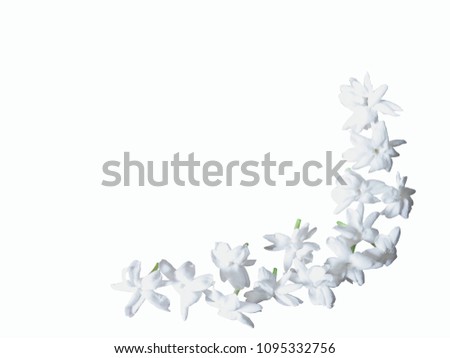 White jasmine flowers arranged in a rounded shape. In the bottom corner of the white background image.