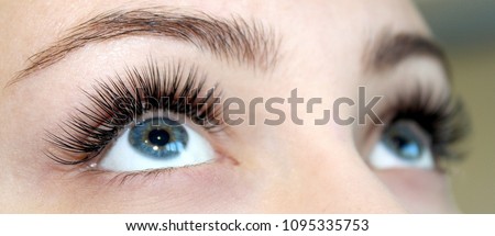 Eyelash Extension Procedure. Woman Eye with Long Eyelashes. Close up, selective focus. Royalty-Free Stock Photo #1095335753