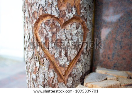 Heart carved on a wooden log. 