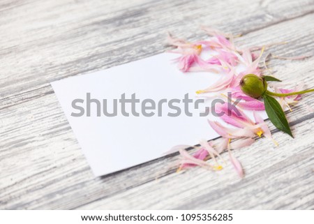 Creative layout with flowers, petals and copy space card note. Nature concept. Flat lay. floral composition with peonies and blank card