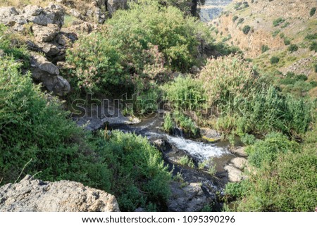 Stream Gamla on the Golan Heights from which begins the largest waterfall in Israel
