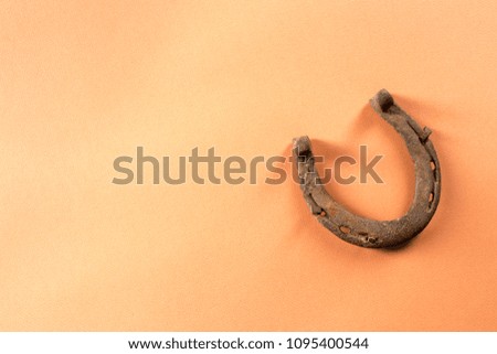 Old rusty horseshoe