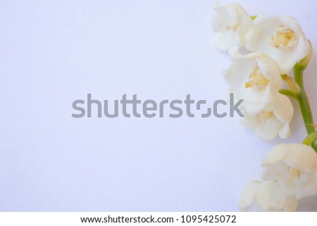 flowers white bells on a white background, copy space, place for advertising or writing