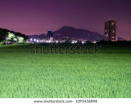 Paddy field in night