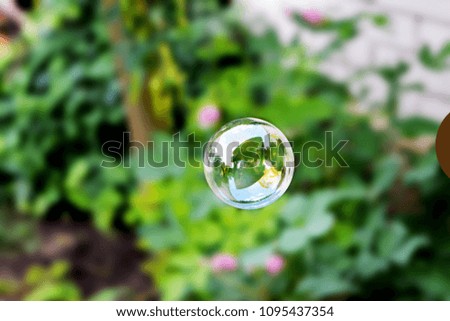 Water bubble background white one clear photo image 