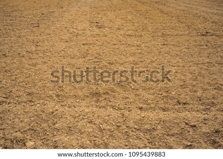 Landscape dry Ground and texture background