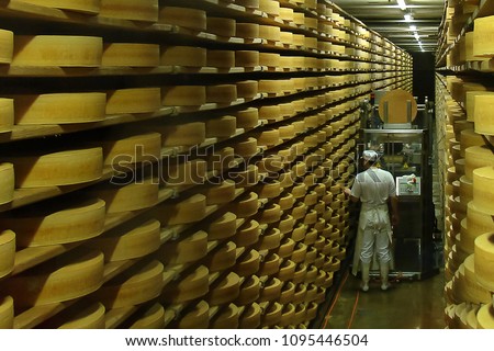 view of a cheese ripening room, an affinage cellar: a man dressed in a white uniform checks the quality of the goods using special equipment; Switzerland Royalty-Free Stock Photo #1095446504