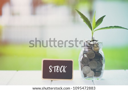 Money saving and investment financial concept. Plant growing in savings coins with text STOCK on small billboard on wooden table. Copy space for your text. Tax, Vat, Stock, Salary.