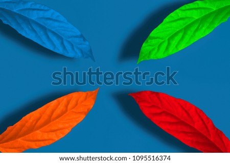 Colorful leaves. The concept of color creates a feeling of enthusiasm.