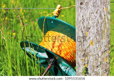 Close up: Coil with litz wire for a fence, fixed on a wooden post (on the right side), pasture with spring flowers in the background (blurred)