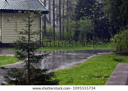 landscape on a running rain next to a Christmas tree on a cottage background.