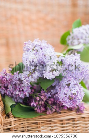 Lilac spring bouquet on natural wooden chair