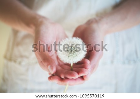 dandelion flower in girl's hands, spring sunny day Royalty-Free Stock Photo #1095570119