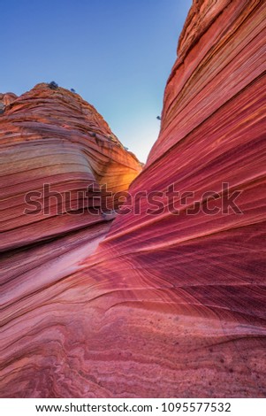 The Wave, Arizona, Canyon Rock Formation. Vermillion Cliffs, Paria Canyon State Park in the United States.