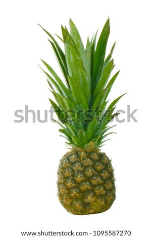 fresh pineapple isolated