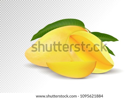 Fresh yellow Mango with slice Isolated On White Background. Vector 3d illustration