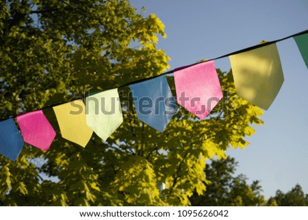 Multicolored flags hang on the background of trees and a blue sky.