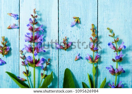 sage herbal plant parts on turquoise wood table background