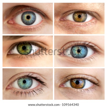 Set of 6 Real Different Open Eyes / Huge Size / Macro Royalty-Free Stock Photo #109564340