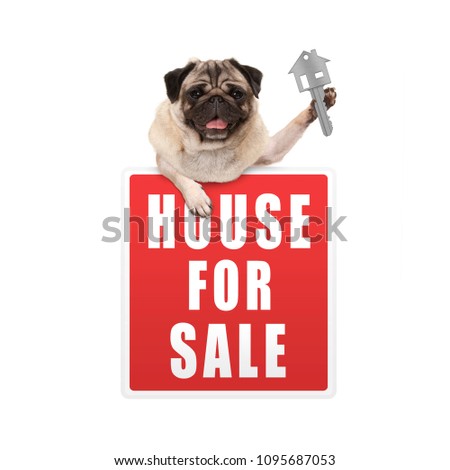 happy pug puppy dog hanging with paws on red house for sale sign, holding up house key, isolated on white background