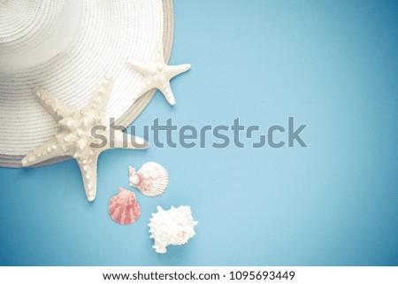 Summer holidays. Starfish, seashells on a light blue background. Sea souvenirs. Summer concept. Flat lay, top view, copy space