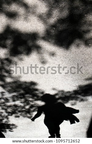 Shadow silhouette of a woman and treetops on city stree in black and white