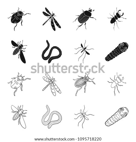 Arthropods insect mosquito, bee.Earth worm, caterpillar,vermicular set collection icons in black,outline style vector symbol stock isometric illustration web.