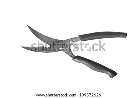 Scissors for cutting meat and chicken on a white background.