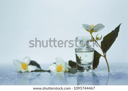 bottle of perfume and jasmine flowers