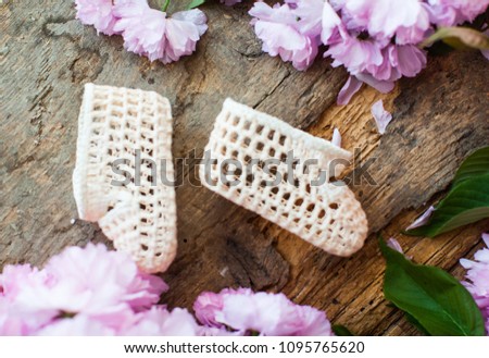 Baby shoes isolated