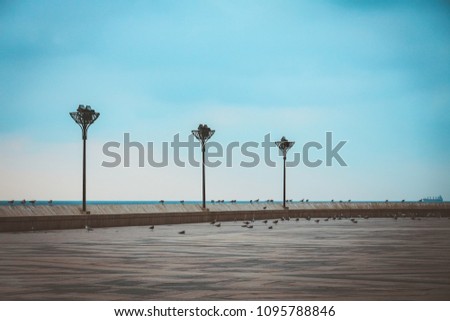 Sunset beach of Casablanca city with Birds , Mosquee Hassan ll , Morocco