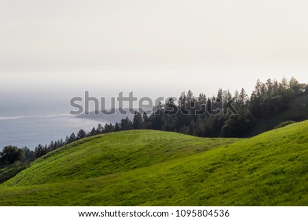 Marin county coastline muir beach stinson beach redwood seashore panoramic highway