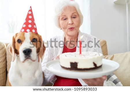 Portrait of white-haired senior woman blowing candles on birthday cake sitting with dog wearing holiday cap on couch while celebrating birthday at home