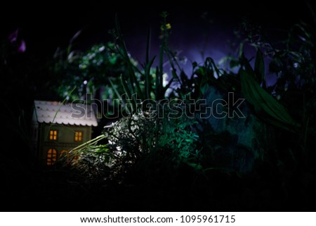 Fantasy decorated photo. Small beautiful house in grass with light. Old house in forest at night with moon. Dark foggy lighted background. Selective focus
