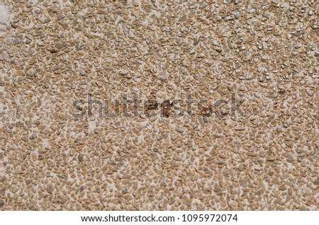 Texture photograph of a pebble floor.