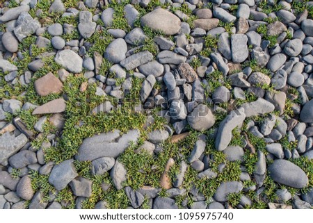 Background photography of stones and herbs.