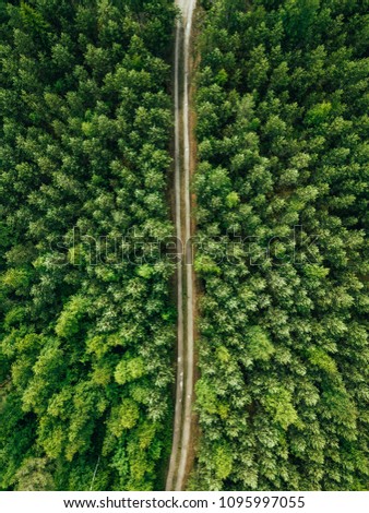 Aerial top view of a country road through a fir forest in summer in rural Finland Royalty-Free Stock Photo #1095997055