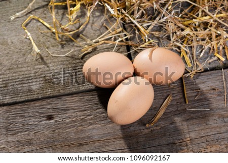  eggs on straw and board